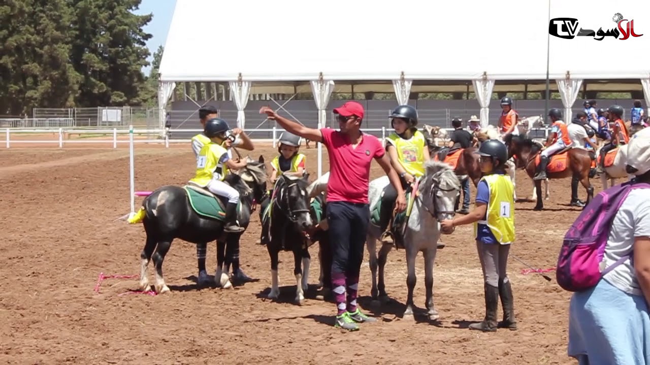 دار السلام أسبوع الفرس: اليوم الرابع من البطولة الوطنية للقفز علي الحواجز