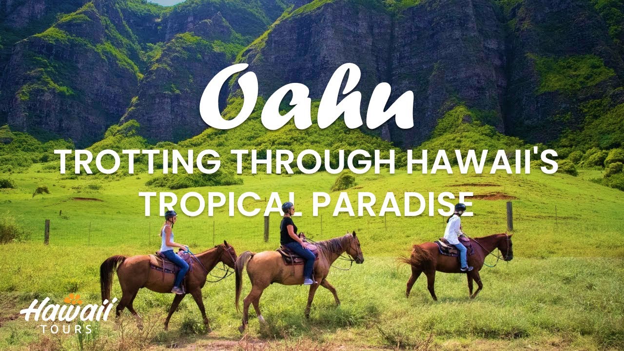 Tropical Riding Oahu Horseback Riding | Trotting Through Hawaii's Tropical Paradise ...