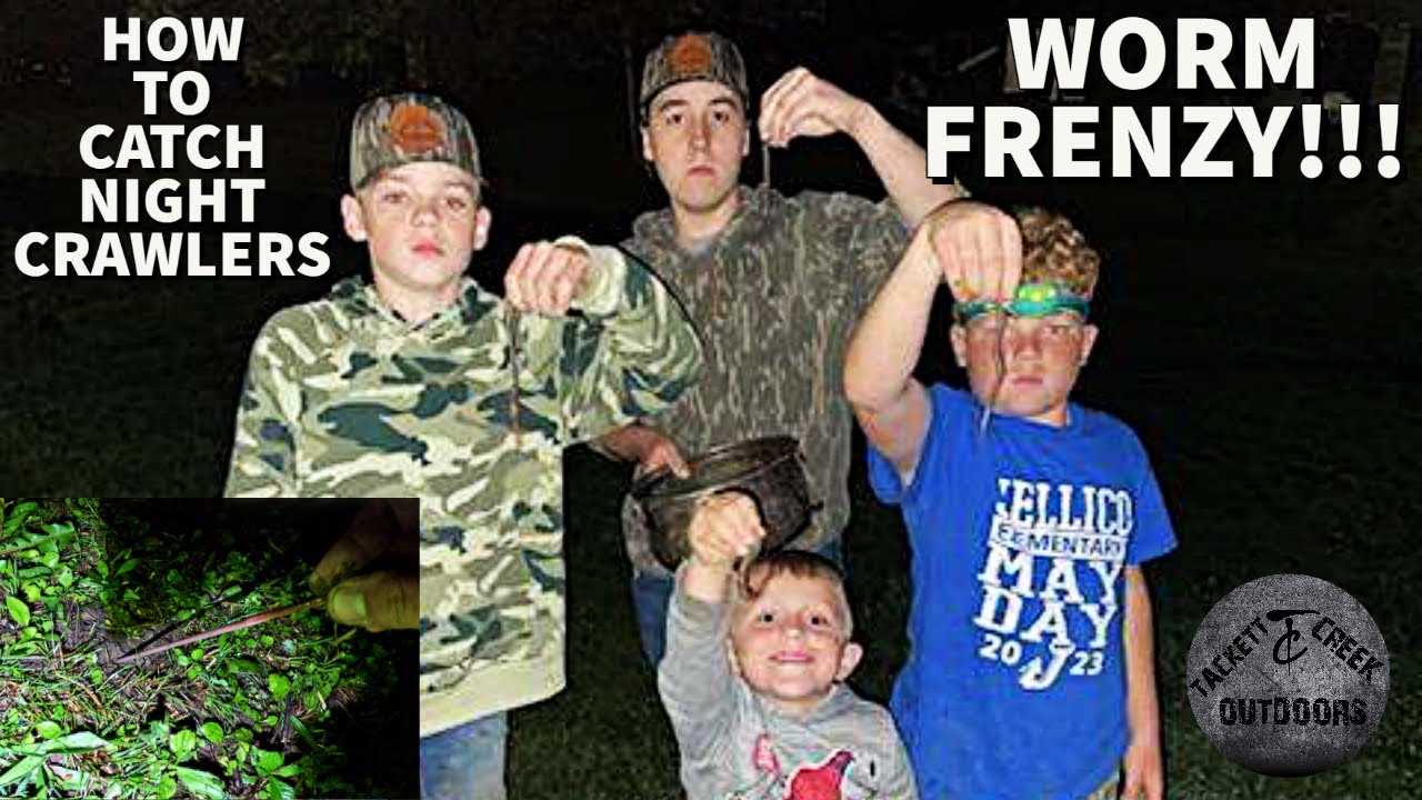 how-to-catch-nightcrawlers-youtube