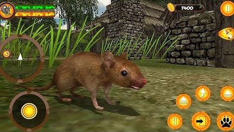 Mouse Simulator - Forest Life #2 - Android Gameplay HD