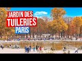 Jardin des tuileries  paris en automne 4k