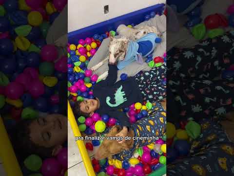 Video: Little Boy's BFF Pembe Tutu Giyen Bir Terapi Tavuğu