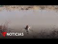 Video de Río Bravo