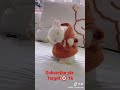 Cute Rabbit Amazing Dance Short Tiktok Video Best Funny Video | Cute and Funny  Videos Compilation