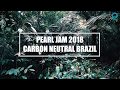 South America 2018 - Carbon Mitigation
