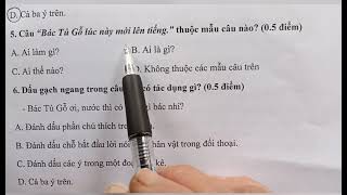 Đề thi giữa học kỳ 2 môn Tiếng Việt lớp 4