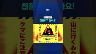 반달곰은 무서운 동물”…일본, 곰 인식 전환 안간힘 #shorts / KBS