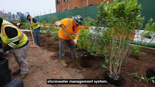 Revitalization Update: Stormwater Management Features at the Liberty State Park Terminal Plaza