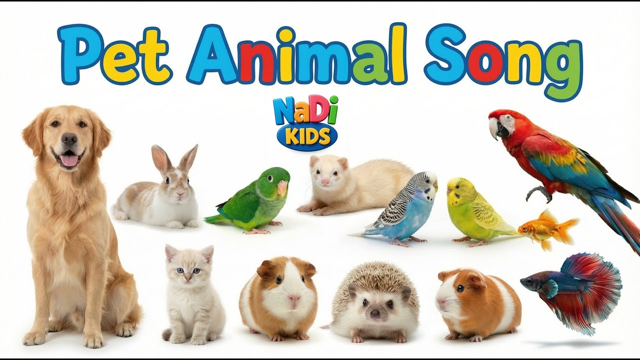Pet Animals Song 🐶🐱 | Nursery Rhyme for Kids | Learn Pet Animals Names | NaDi Kids