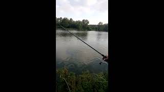 WP 20140913 001