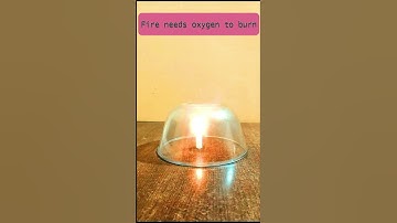 Easy Science Experiment to show 🔥fire needs oxygen to burn #shorts #science #experiment