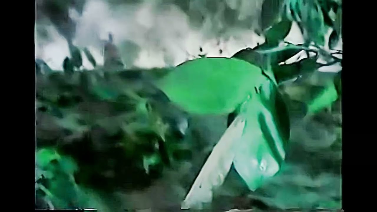 掠食者 亂性之刀 行刺 大汗帝國 赫沙 有刺客 來人阿  護駕 護駕