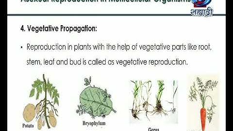 Educational Programme | Class X | Sub - Science II | Life Processes in living  Part - II | 28.11.20
