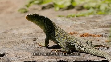 Catechism/Std-4/ Chapter-8/Part-1