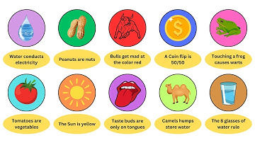 Every Common Misconception Debunked in 6 Minutes | The Explanators