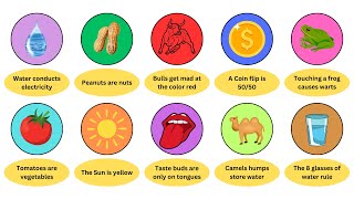 Every Common Misconception Debunked in 6 Minutes | The Explanators