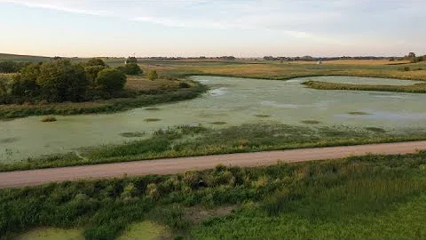 Prairie Pothole Wetland Profile - Bjorkboda Marsh