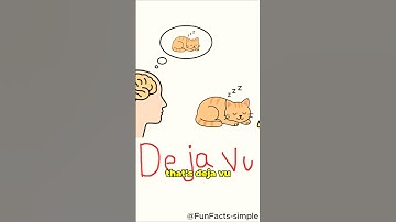 Why Deja Vu Happens To You? (Explained Simply)