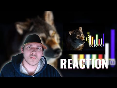 [REACTION] | TierZoo | How Wolves Broke The Game