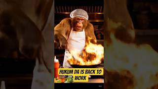 Hukum Da is Back to work #chef #hotellife #shorts #pahadi #uttarakhand #viral