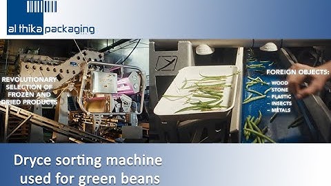 Green beans sorting by Dryce sorting machine - Raytec Vision - Al Thika Packaging