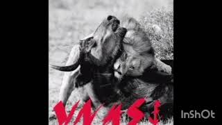 Vnas-0101