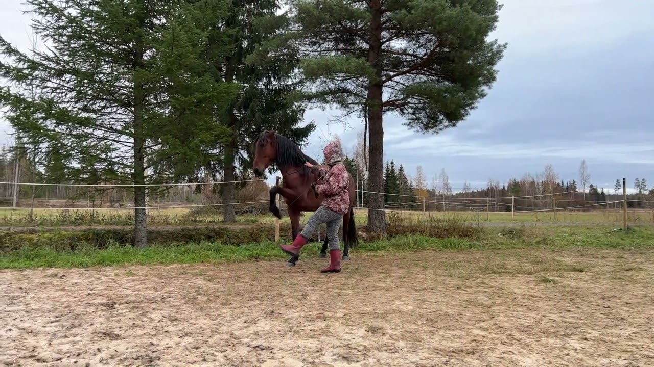 Unique competition: come up with a name for the element. Конкурс: придумайте название элемента