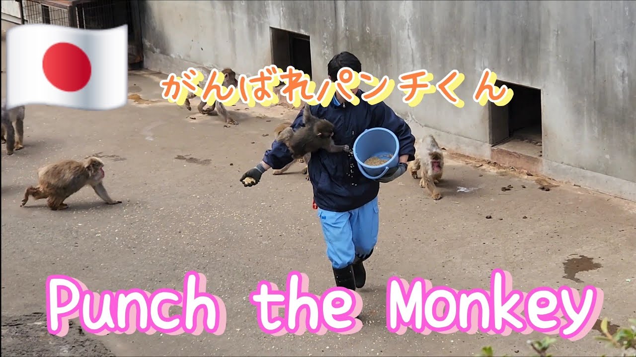 The zoo where Punch lives -part3-