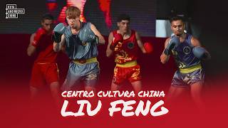 Centro de Cultura China LIU FENG: poder y técnica en el Gran Barrio Chino.