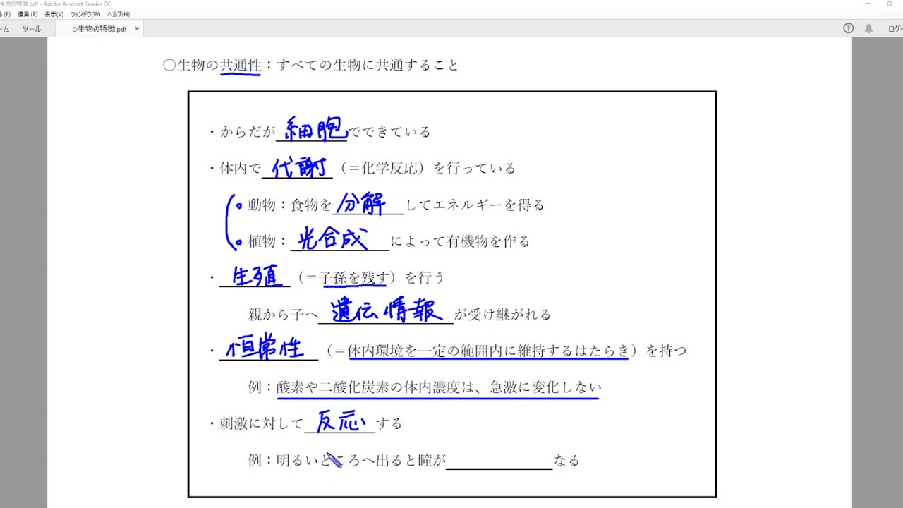 生物 の 特徴