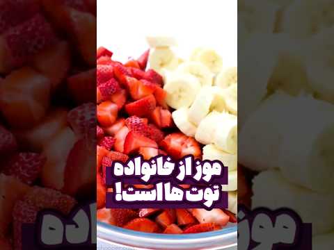 موز یک توت است