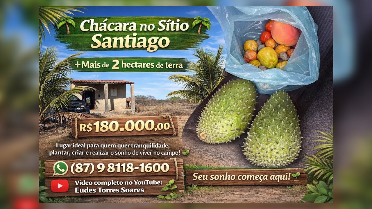 🥭🍊🍌 Chácara com mais de 2 hectares de terra