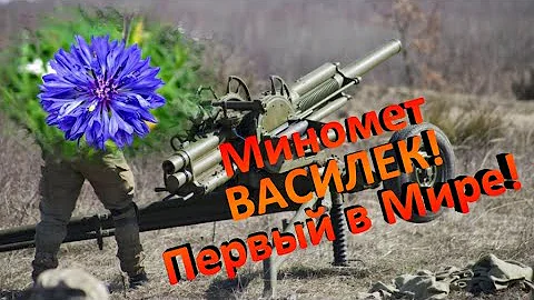 Опасный цветок. Миномет Василек.