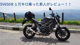 SUZUKI　SV650　峠道　最高！！ by コペコペ 5,971 views 1 year ago 7 minutes, 42 seconds