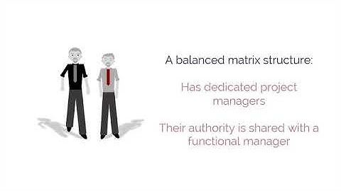 PMP Chap 1: Project Management Framework Video 2 Organization Structure
