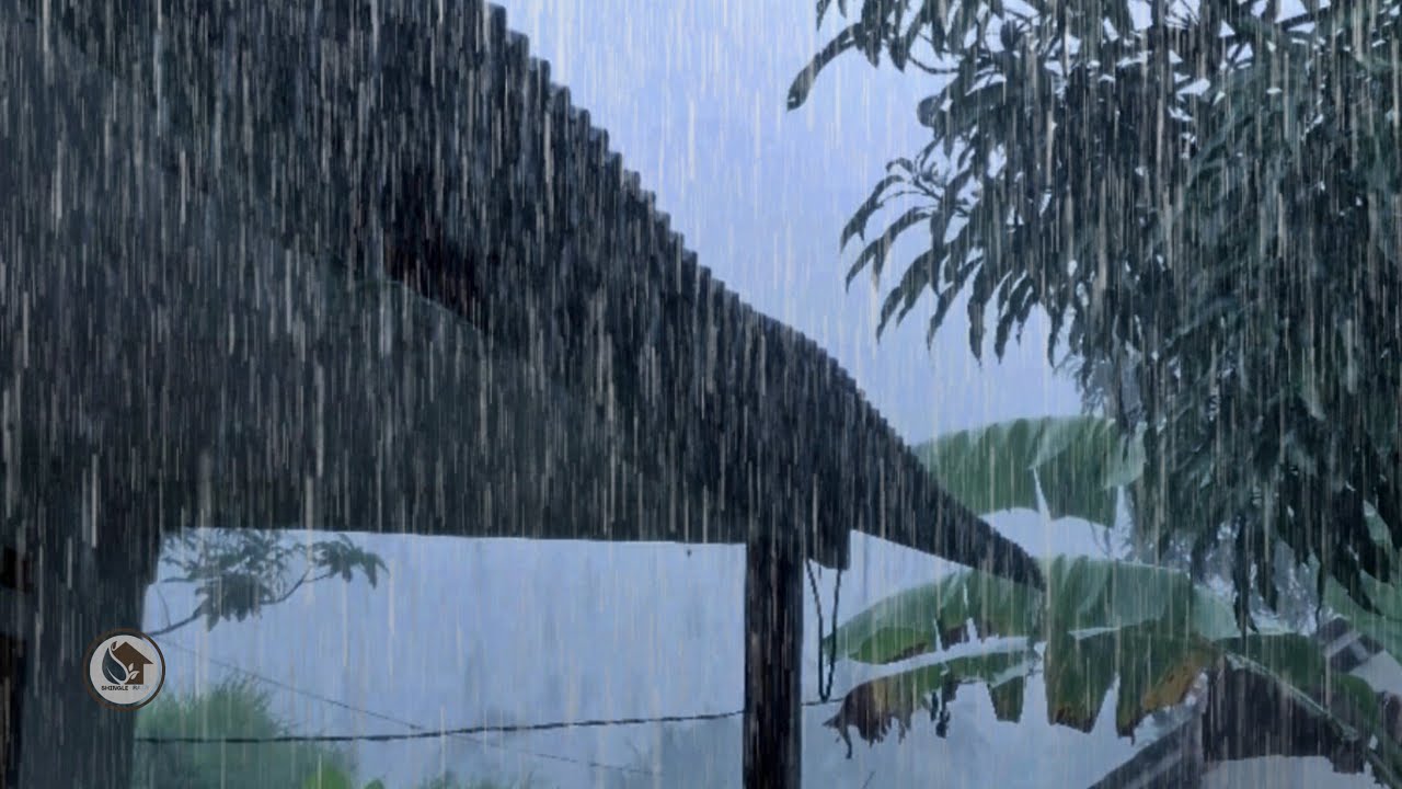 Дождь на деревенской крыше — звук, который вернет вас домой