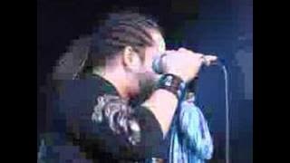 Bujang Senang-Wings Alive06