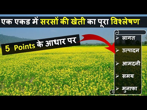 वीडियो: लाल कुरी स्क्वैश की कटाई कब करें?