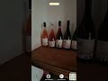 🍷 ℰ𝓃ℴ𝓉𝓇ℯ𝓀𝓀𝒾𝓃ℊ 𝓉𝓇𝒶 𝓈ℯ𝓃𝓉𝒾ℯ𝓇𝒾 ℯ 𝓋𝒾ℊ𝓃ℯ 𝗟𝗮 𝘁𝗲𝗿𝗿𝗮𝘇𝘇𝗮 𝘀𝘂𝗹 𝗠𝗼𝗻𝘁𝗲 𝗖𝗲𝗹𝗲𝘀𝘁𝗲 𝗲 𝗰𝗮𝗻𝘁𝗶𝗻𝗲 𝗥𝗶𝗰𝗰𝗮𝗿𝗱𝗶 𝗥𝗲𝗮𝗹𝗲 🍇- I parte