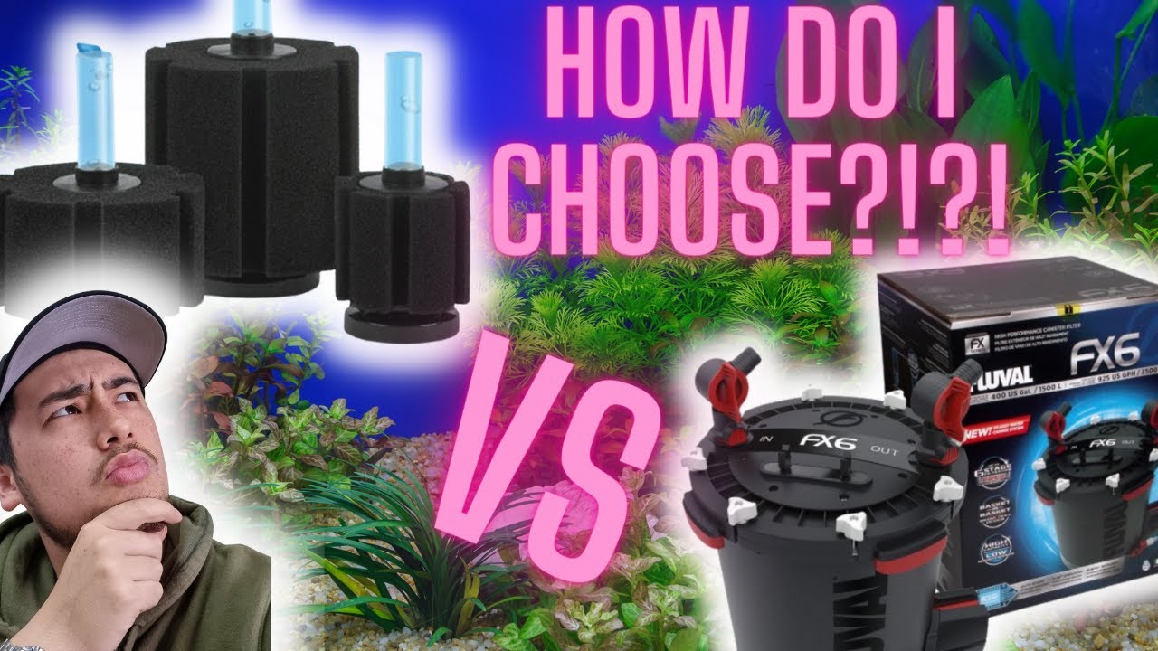 Aquarium Filter Guide: What should you use? Ep13 - YouTube