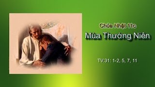 CN 11c mùa Thường Niên 2016, TV.31: 1-2, 5, 7, 11