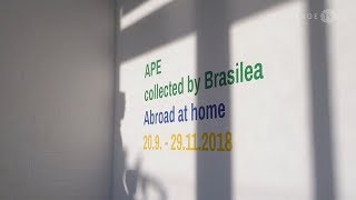 Ape Collected By Brasilea Abroad At Home Anniversary Exhibition At Brasilea Basel