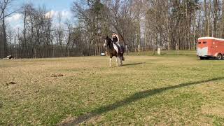 Murphy Training Progress: Riding
