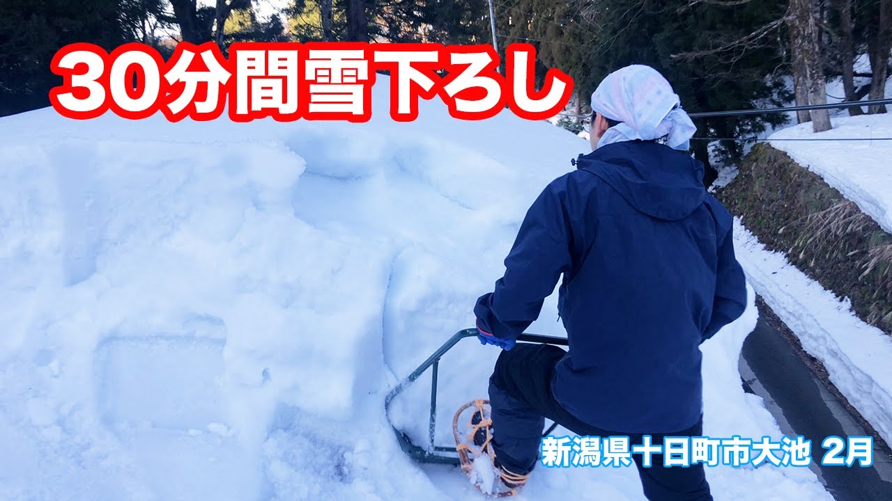 《等倍速》元作業小屋屋根雪下ろし「新潟県十日町市大池2月雪おろし」 #雪下ろし #snowremoval