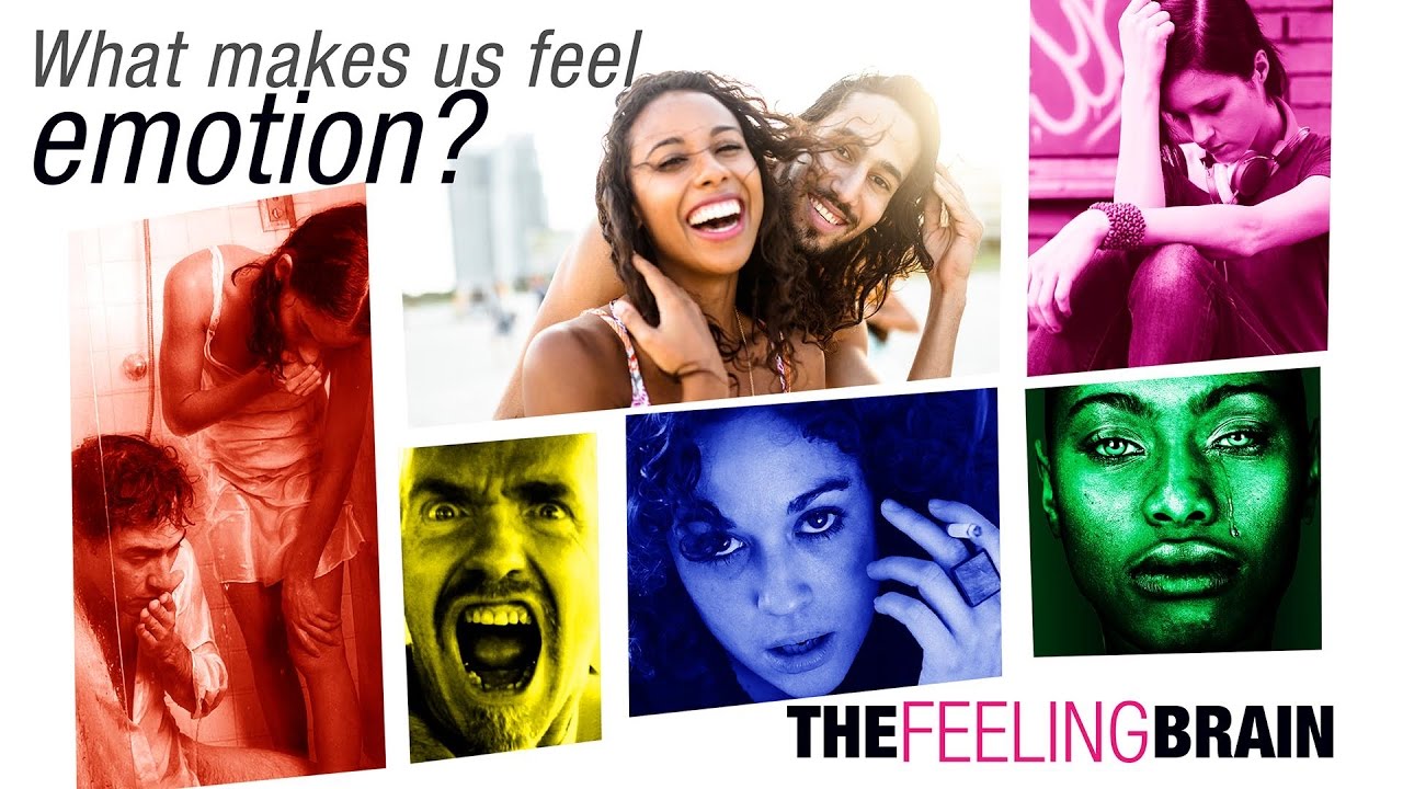 Inside the Feeling Brain: Explore the Neural Basis of Emotion and the Future of Medical Education