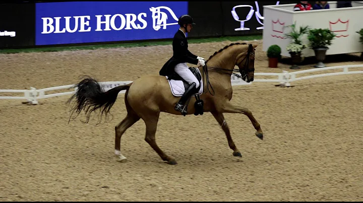 Daniel Bachmann - Marshall-Bell - Grand Prix