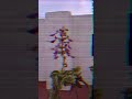 Purple Petal Dance #randomvideos #purpleflower