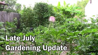Late July Gardening Update - 9 Foot Tall Beans and 10 Foot Tall Corn