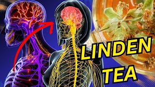How Linden Tea Can Improve Your Health: Benefits and Uses