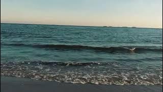 Bahan mentahan pantai HD